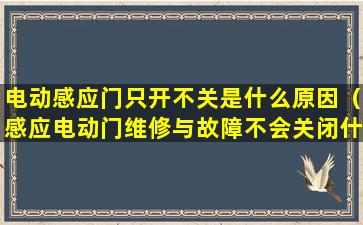 电动感应门只开不关是什么原因（感应电动门维修与故障不会关闭什么情况）