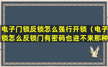 电子门锁反锁怎么强行开锁（电子锁怎么反锁门有密码也进不来那种）