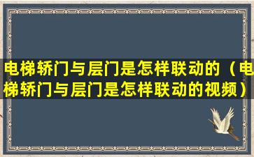 电梯轿门与层门是怎样联动的（电梯轿门与层门是怎样联动的视频）