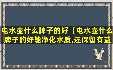 电水壶什么牌子的好（电水壶什么牌子的好能净化水质,还保留有益的矿物质）