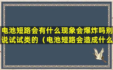 电池短路会有什么现象会爆炸吗别说试试类的（电池短路会造成什么样的后果）