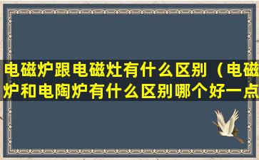 电磁炉跟电磁灶有什么区别（电磁炉和电陶炉有什么区别哪个好一点）