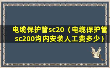 电缆保护管sc20（电缆保护管sc200沟内安装人工费多少）