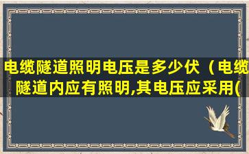 电缆隧道照明电压是多少伏（电缆隧道内应有照明,其电压应采用()以下的安全电压）