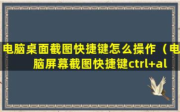 电脑桌面截图快捷键怎么操作（电脑屏幕截图快捷键ctrl+alt+）