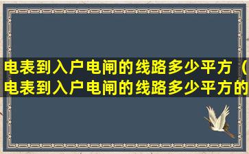 电表到入户电闸的线路多少平方（电表到入户电闸的线路多少平方的线）