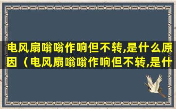 电风扇嗡嗡作响但不转,是什么原因（电风扇嗡嗡作响但不转,是什么原因呢）