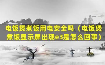 电饭煲煮饭用电安全吗（电饭煲煮饭显示屏出现e3是怎么回事）