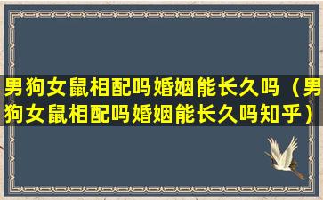 男狗女鼠相配吗婚姻能长久吗（男狗女鼠相配吗婚姻能长久吗知乎）