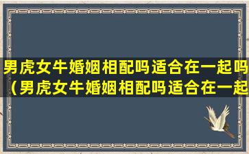 男虎女牛婚姻相配吗适合在一起吗（男虎女牛婚姻相配吗适合在一起吗知乎）