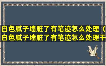 白色腻子墙脏了有笔迹怎么处理（白色腻子墙脏了有笔迹怎么处理干净）