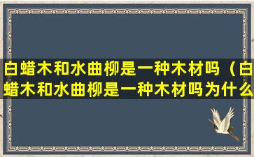 白蜡木和水曲柳是一种木材吗（白蜡木和水曲柳是一种木材吗为什么）