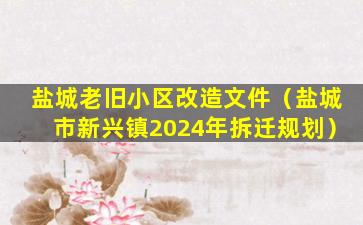 盐城老旧小区改造文件（盐城市新兴镇2024年拆迁规划）