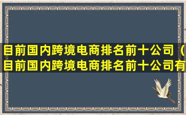 目前国内跨境电商排名前十公司（目前国内跨境电商排名前十公司有哪些）