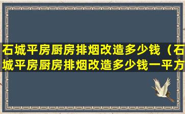 石城平房厨房排烟改造多少钱（石城平房厨房排烟改造多少钱一平方米）