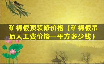 矿棉板顶装修价格（矿棉板吊顶人工费价格一平方多少钱）