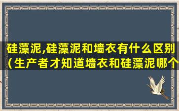 硅藻泥,硅藻泥和墙衣有什么区别（生产者才知道墙衣和硅藻泥哪个好）