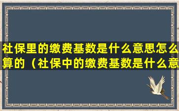 社保里的缴费基数是什么意思怎么算的（社保中的缴费基数是什么意思怎么算的）