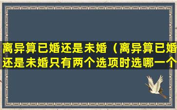 离异算已婚还是未婚（离异算已婚还是未婚只有两个选项时选哪一个）