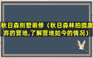 秋日森别墅装修（秋日森林拍摄废弃的营地,了解营地如今的情况）