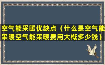 空气能采暖优缺点（什么是空气能采暖空气能采暖费用大概多少钱）