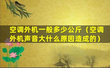 空调外机一般多少公斤（空调外机声音大什么原因造成的）