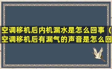 空调移机后内机漏水是怎么回事（空调移机后有漏气的声音是怎么回事）