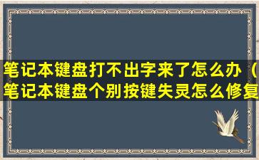 笔记本键盘打不出字来了怎么办（笔记本键盘个别按键失灵怎么修复）