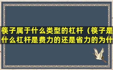 筷子属于什么类型的杠杆（筷子是什么杠杆是费力的还是省力的为什么）