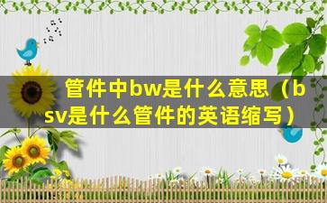 管件中bw是什么意思（bsv是什么管件的英语缩写）