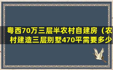 粤西70万三层半农村自建房（农村建造三层别墅470平需要多少钱）