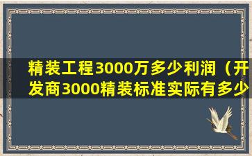 精装工程3000万多少利润（开发商3000精装标准实际有多少）