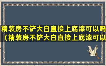 精装房不铲大白直接上底漆可以吗（精装房不铲大白直接上底漆可以吗有甲醛吗）