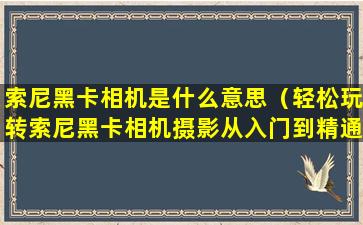 索尼黑卡相机是什么意思（轻松玩转索尼黑卡相机摄影从入门到精通）