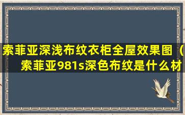 索菲亚深浅布纹衣柜全屋效果图（索菲亚981s深色布纹是什么材质）