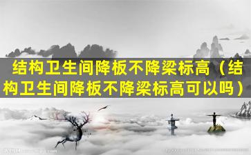 结构卫生间降板不降梁标高（结构卫生间降板不降梁标高可以吗）