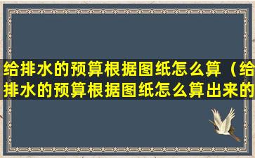 给排水的预算根据图纸怎么算（给排水的预算根据图纸怎么算出来的）