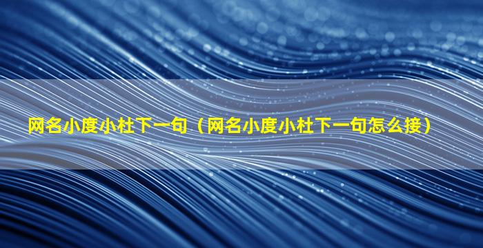 网名小度小杜下一句（网名小度小杜下一句怎么接）