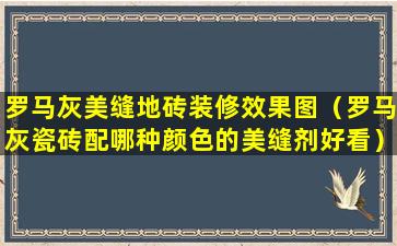 罗马灰美缝地砖装修效果图（罗马灰瓷砖配哪种颜色的美缝剂好看）