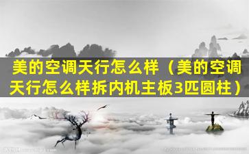 美的空调天行怎么样（美的空调天行怎么样拆内机主板3匹圆柱）