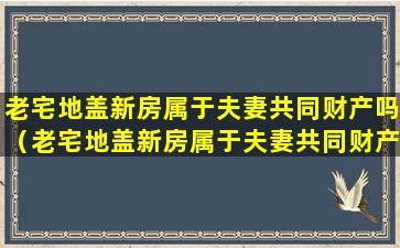 老宅地盖新房属于夫妻共同财产吗（老宅地盖新房属于夫妻共同财产吗怎么算）