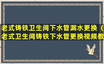 老式铸铁卫生间下水管漏水更换（老式卫生间铸铁下水管更换视频教程）