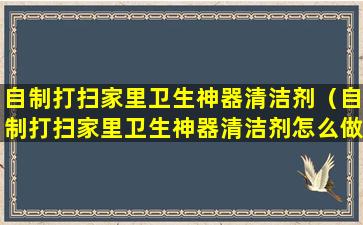 自制打扫家里卫生神器清洁剂（自制打扫家里卫生神器清洁剂怎么做）