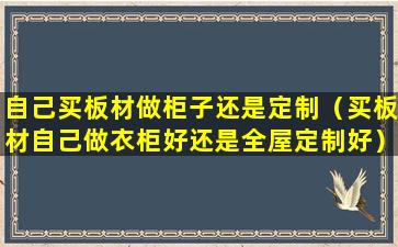 自己买板材做柜子还是定制（买板材自己做衣柜好还是全屋定制好）