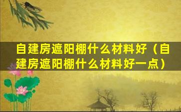 自建房遮阳棚什么材料好（自建房遮阳棚什么材料好一点）