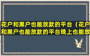 花户和黑户也能放款的平台（花户和黑户也能放款的平台晚上也能放款吗）