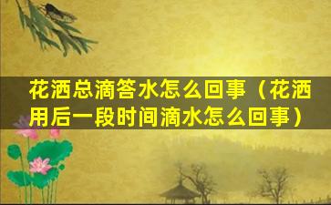 花洒总滴答水怎么回事（花洒用后一段时间滴水怎么回事）