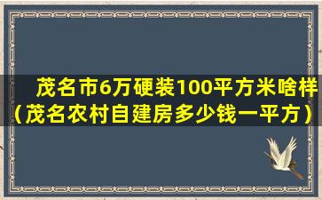 茂名市6万硬装100平方米啥样（茂名农村自建房多少钱一平方）