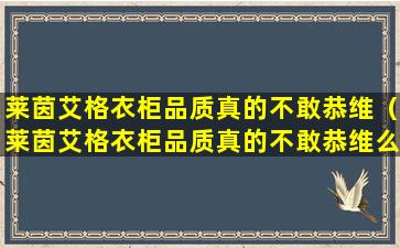 莱茵艾格衣柜品质真的不敢恭维（莱茵艾格衣柜品质真的不敢恭维么）