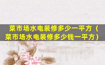 菜市场水电装修多少一平方（菜市场水电装修多少钱一平方）